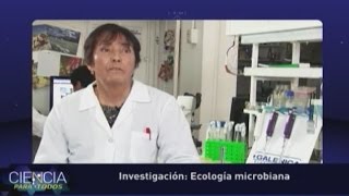 Ecología microbiana [upl. by Acina]