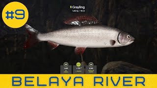 Russian Fishing 4  Belaya River  Grayling  9 [upl. by Schonfeld328]