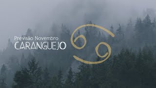 Signo Caranguejo Forecast Novembro [upl. by Eintruoc820]