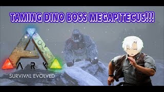 TAMING DINO BOSS MEGAPITECUS Ark Survival Evolved The Island 27 [upl. by Ylro]