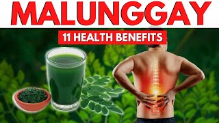 11 Benepisyo Ng Malunggay  Health Benefits Of Malunggay [upl. by Lewis]