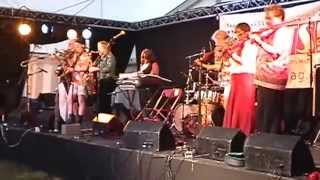 The Old Swan Band 2004 Sidmouth Folk Festival [upl. by Otreblif349]