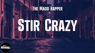 The Madd Rapper  Stir Crazy feat Eminem lyrics [upl. by Squires]