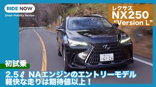 コスパ最高かも？！ レクサス NX250 “Version L” AWD 試乗レビュー by 島下泰久 [upl. by Countess881]