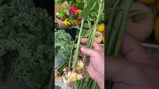 At the PineBush farmersmarket buying fresh ginger [upl. by Jovita]