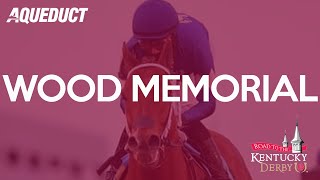 Wood Memorial Replay 492022 at Aqueduct  Road to the Kentucky Derby [upl. by Pepe]