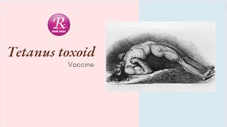 Tetanus Vaccine also known as Tetanus Toxoid TT Mostly useful information about this Vaccine [upl. by Gorlicki]