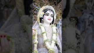 Radharani s love newsong music ❤️🙂 [upl. by Waldron]