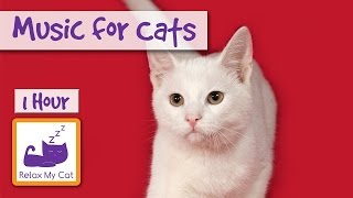 1 Hour of Music for Cats  Relax your Cats and Send them to Sleep CATS LOVE THIS MUSIC [upl. by Vasiliu]