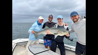 Cape Cod amp Striper Fishing 2024 [upl. by Knowling]