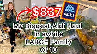 My BIGGEST ALDI Haul in a LONG Time  LARGE FAMILY Grocery Haul [upl. by Vonnie]