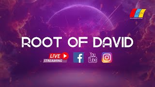 Root Of David  True Worshipers Nation  Live Stream [upl. by Forta]