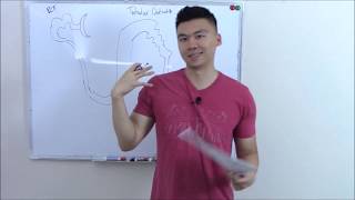 USMLE Renal 5 Nephron Tubular Defects [upl. by Boote]