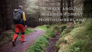 Kielder Forest Northumberland [upl. by Nelloc]