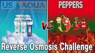 FILTER OR FAIL Peppers Reverse Osmosis Water Filtration Challenge [upl. by Barnebas]