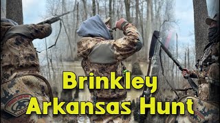 Brinkley Arkansas Duck Hunt [upl. by Nate]