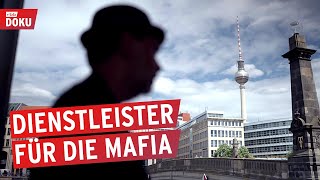 Das StrohmannKartell  Dienstleister für die Mafia  Reportage [upl. by Meyers]