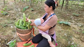 Together with my son I harvested luffa to sell at the market and grew vegetables at home [upl. by Dell707]