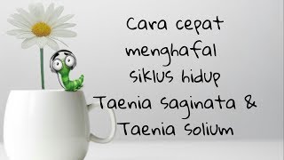 Cara cepat menghafal siklus hidup Taenia saginata amp Taenia solium [upl. by Betti150]