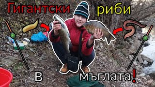 ТРУДЕН РИБОЛОВ на ОГРОМНИ РЕЧНИ КАРАКУДИ и КЕФАЛИ в МЪГЛАТА FISHING for GIANT CRUCIANS and CHUBS [upl. by Herv]