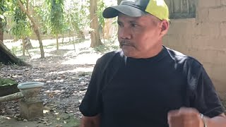 Chilindrino enojado con amarito y desmiente a Maria Chichuy [upl. by Ahsikin]