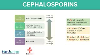 Cephalosporins Pharmacology 1st to 5th Generations Mnemonics Indications and Adverse effects [upl. by Buonomo]