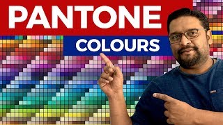 Learn What is Pantone Colour Graphic Design [upl. by Hufnagel231]