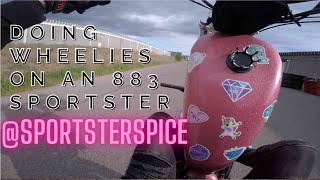 Wheelies on a Harley Davidson Sportster 883 [upl. by Enawd]