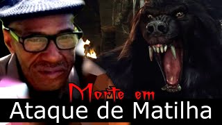 Mistério Idoso Morre em Ataque de Matilha [upl. by Drofub143]