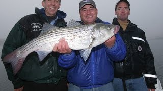 Striped Bass Fishing  Sandy Hook NJ Preview [upl. by Le]