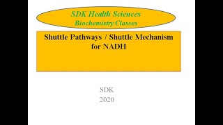 Shuttle Pathways  Shuttle Mechanism for NADH [upl. by Acisej]