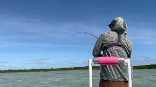 Bahamas Bonefishing Andros Island Bonefish Club HD [upl. by Cartan890]