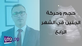 حجم الجنين في الشهر الرابع وحركته والمتاعب المرافقة لذلك [upl. by Erdnassak]