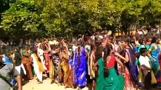 Annai College of art and Science Science samathuva pongal celebration 2019 [upl. by Ennairac]