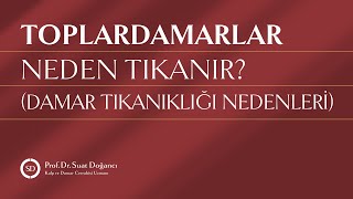 Toplardamarlar Neden Tıkanır Damar Tıkanıklığı Nedenleri [upl. by Africa582]