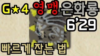 G★4 영맹 은화룡 헤비보우건 솔플 Silver Rathalos リオレウス希少種 Switch MHXX MHGU 몬스터헌터 더블크로스 [upl. by Aneeuq]