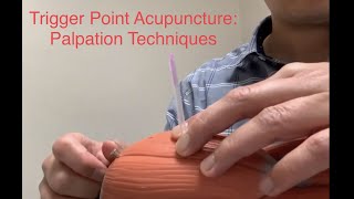 AshiTrigger Point Palpation Techniques [upl. by Halfdan]