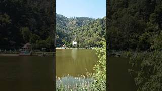 Mesmerizing view of Rewalsar Lake 🪿🪿 relaxing relaxingmusic meditationmusic nature himachal [upl. by Orozco]