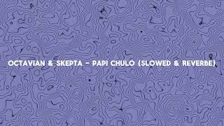 Octavian amp Skepta  Papi Chulo Slowed amp Reverbe [upl. by Virgel]