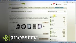 Correcting Mistakes in Your Own Family Tree  Ancestry [upl. by Ettevets]