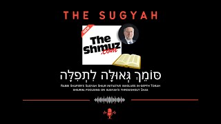 The Sugyah 19  Year 2  Shiur 1 [upl. by Yroc]