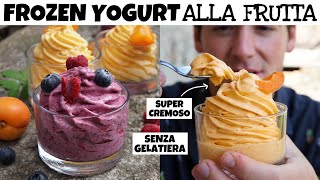 FROZEN YOGURT ALLA FRUTTA il gelato istantaneo e leggero ideale quando fa caldo  Davide Zambelli [upl. by Ida]