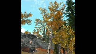 beautiful  Skyrim VR shorts [upl. by Shenan519]