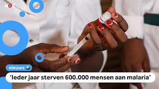 In Kameroen krijgen voor het eerst veel kinderen een malariaprik [upl. by Hasheem]