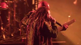 Alborosie  Kingston Town Live at Couleur Café 2018 [upl. by Mordy]