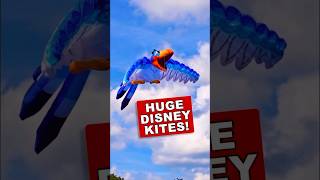 Flying Giant Disney Kites 🦁🪁 [upl. by Goldman]