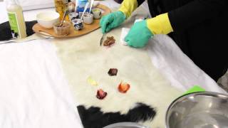 How to Clean a Cowhide Rug 2024  Cowhide Cleaner Demo by Gorgeous Creatures [upl. by Ave]