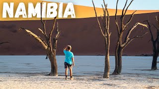 THIS IS Namibia 🇳🇦  Deadvlei  Sossusvlei Camping in the Desert [upl. by Southworth]