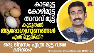 കാടമുട്ട കോഴിമുട്ട താറാവ് മുട്ട ആരോഗ്യത്തിന് നല്ലത് ഏത്  മുട്ട ദിവസവും എത്ര എണ്ണം കഴിക്കണം [upl. by Nylisoj445]