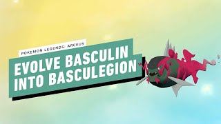 Pokemon Legends Arceus  How To Evolve Basculin Into Basculegion [upl. by Annaeirb]